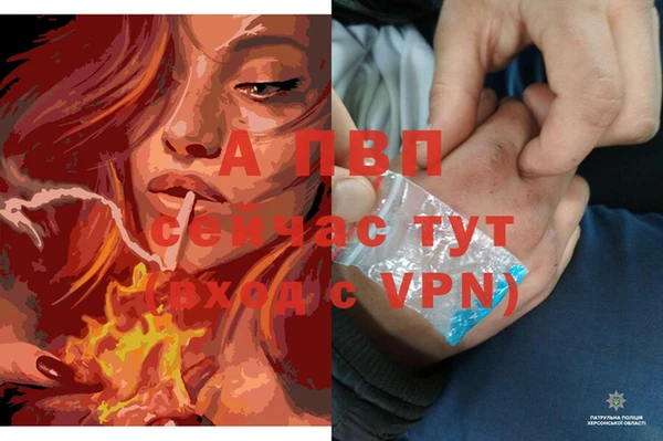 прущий лед Белокуриха